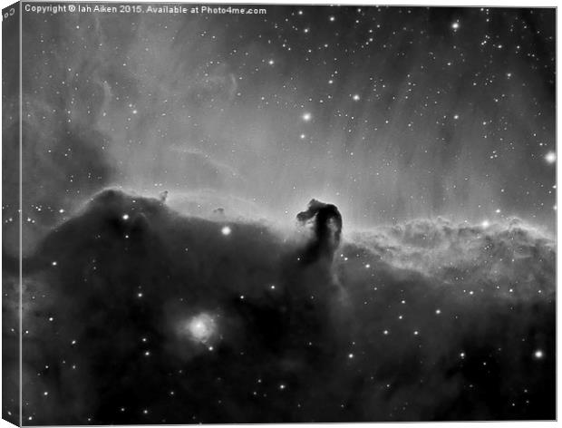  Horsehead Nebula in Black and White Canvas Print by Ian Aiken