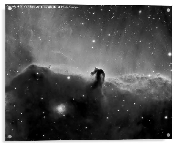  Horsehead Nebula in Black and White Acrylic by Ian Aiken