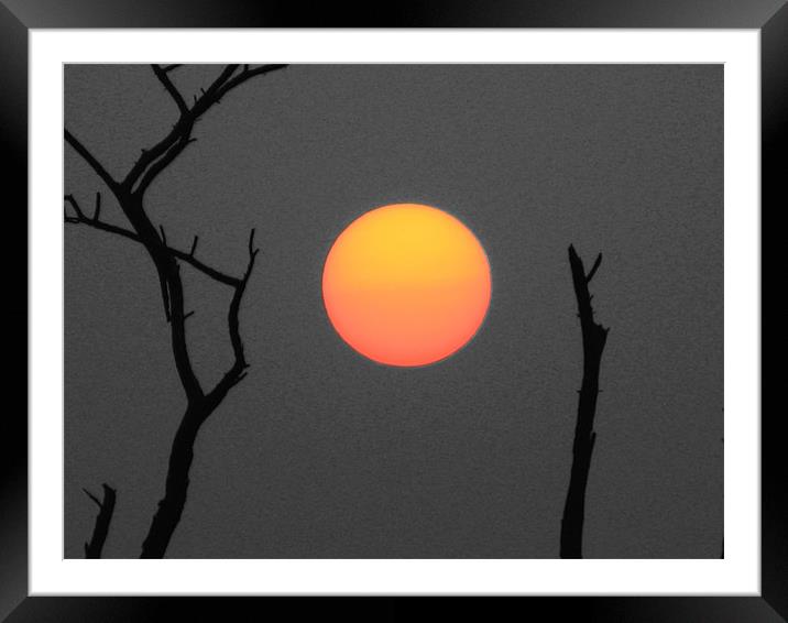 sun Framed Mounted Print by anurag gupta