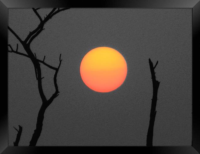 sun Framed Print by anurag gupta
