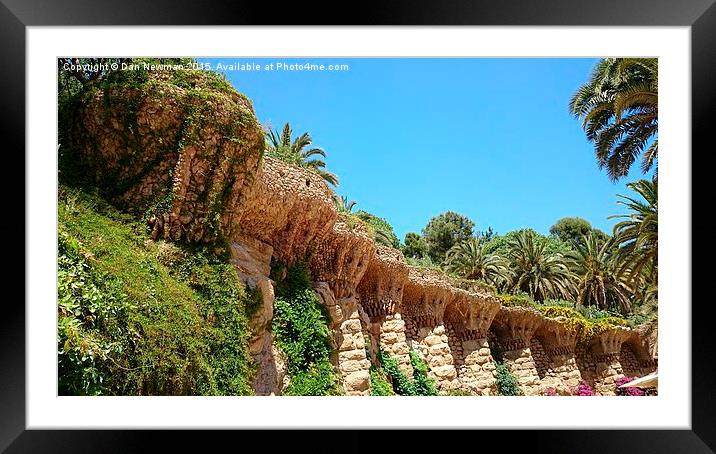  Jungle Ruins Framed Mounted Print by Dan Newman