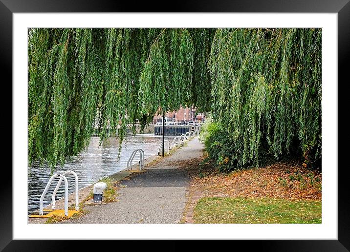 Serene Autumn Riverside Walk Framed Mounted Print by P D