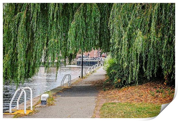 Serene Autumn Riverside Walk Print by P D