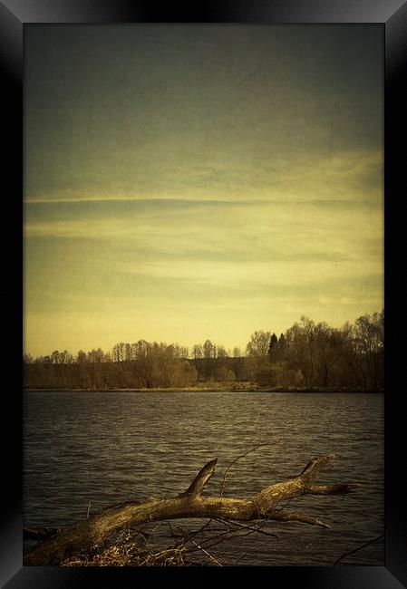 Along the river #9 Framed Print by Piotr Tyminski