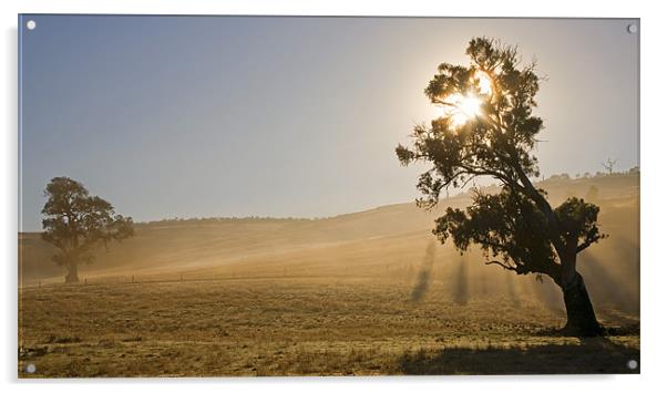 Country Sunrise Acrylic by Mike Dawson