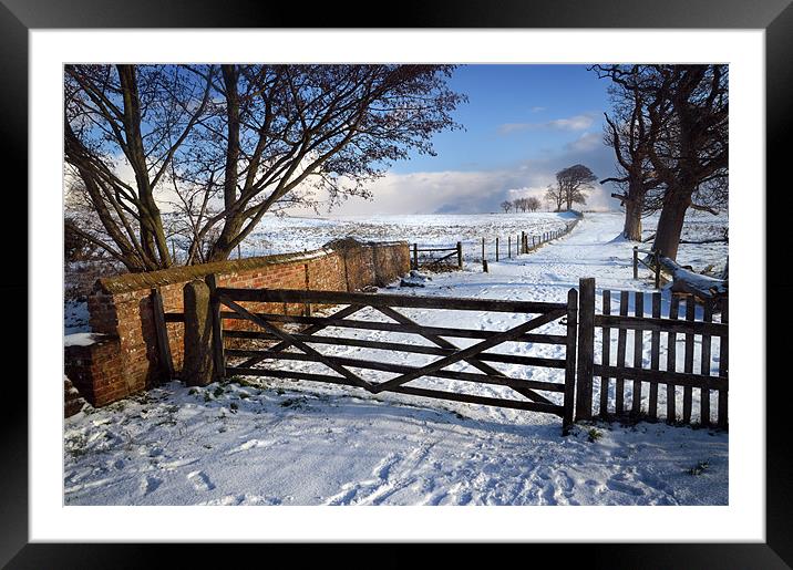 5 bar gate in snow Framed Mounted Print by Stephen Mole