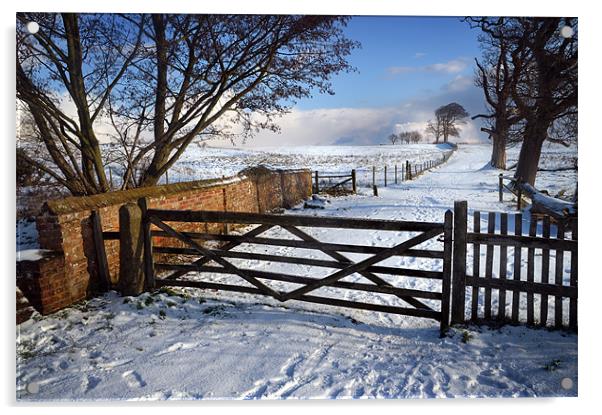 5 bar gate in snow Acrylic by Stephen Mole