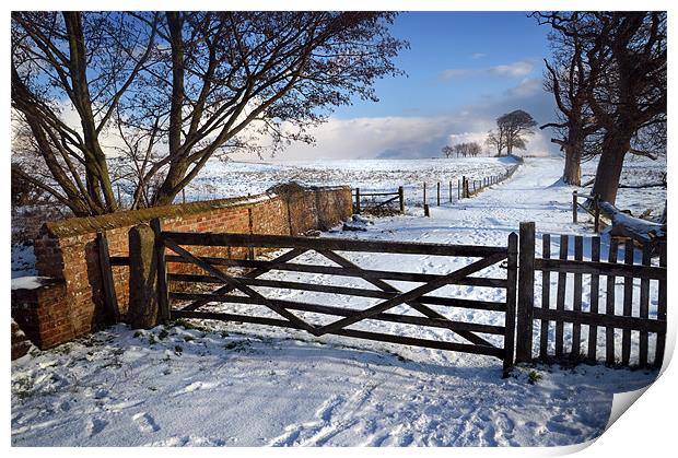 5 bar gate in snow Print by Stephen Mole