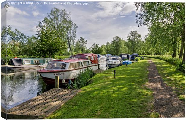 River Scene at Papermill Lock  Canvas Print by Brian Fry