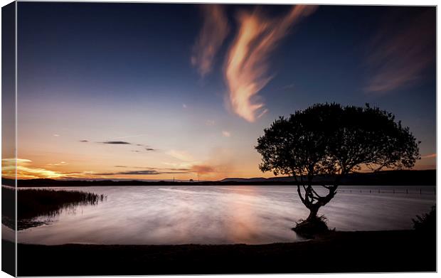  Kenfig Pool and tree Canvas Print by Leighton Collins