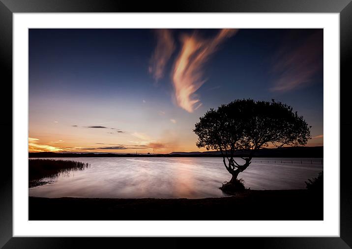  Kenfig Pool and tree Framed Mounted Print by Leighton Collins