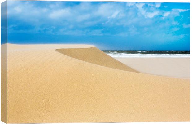  Sand Dunes Canvas Print by David Hare