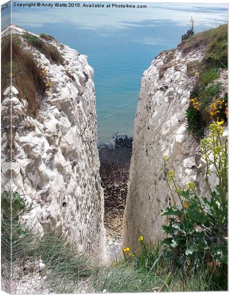 Please Mind the Gap, White Cliffs Of Dover Canvas Print by Andy Watts