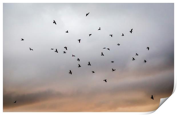  Birds in Flight Print by Hassan Najmy