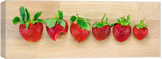 For strawberries lovers Canvas Print by Svetlana Sewell