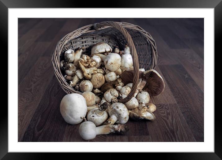  Mushrooms Framed Mounted Print by Svetlana Sewell