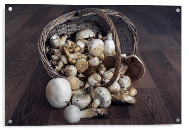  Mushrooms Acrylic by Svetlana Sewell