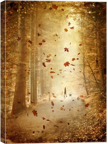  Autumn stroll Canvas Print by Svetlana Sewell