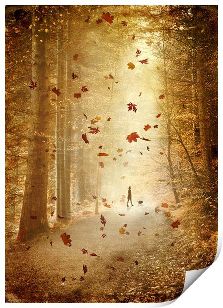  Autumn stroll Print by Svetlana Sewell