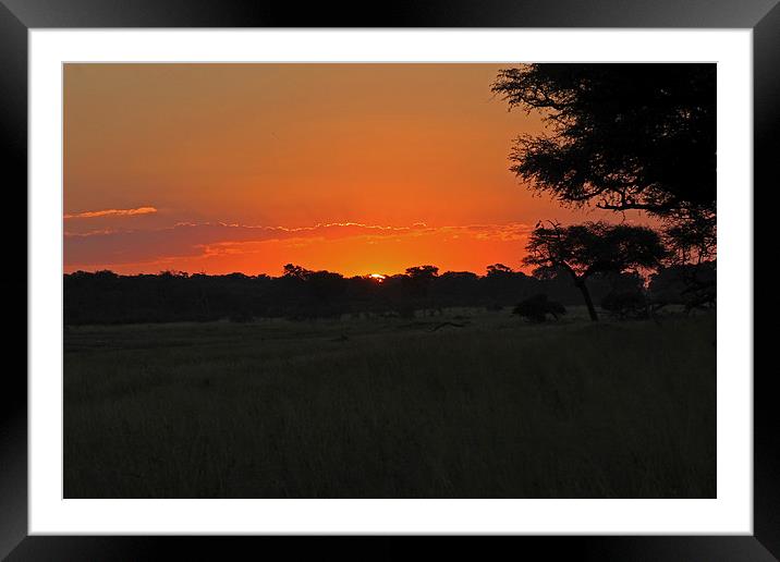 Sunset at Hwange Framed Mounted Print by Tony Murtagh