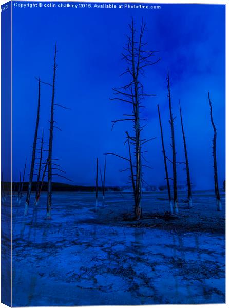 Ethereal Landscape in Yellowstone National Park Canvas Print by colin chalkley