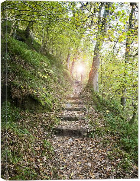 Stairway to ? Canvas Print by Mike Gorton