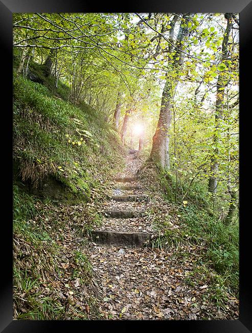 Stairway to ? Framed Print by Mike Gorton