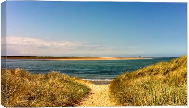 Sandy Dunes Canvas Print by Naylor's Photography