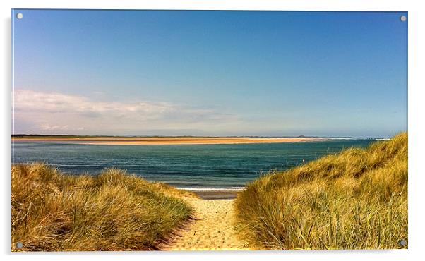 Sandy Dunes Acrylic by Naylor's Photography