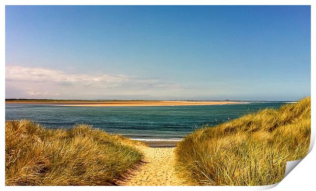 Sandy Dunes Print by Naylor's Photography