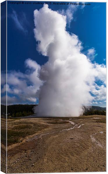  Old Faithful Canvas Print by colin chalkley