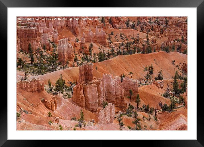  Bryce Canyon Framed Mounted Print by colin chalkley