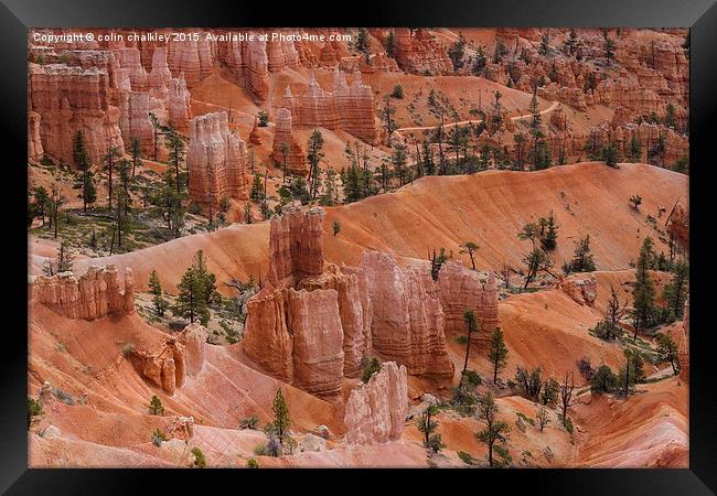  Bryce Canyon Framed Print by colin chalkley