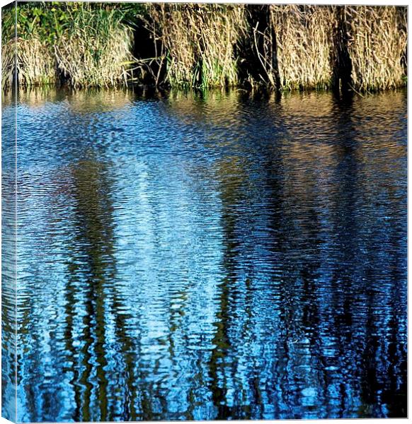 REFLECTIONS Canvas Print by Bruce Glasser