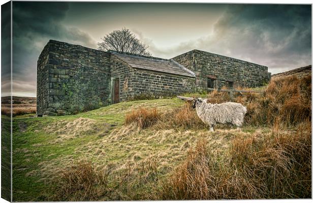 Wuthering Heights Canvas Print by Colin & Linda McKie