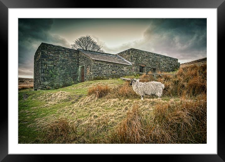 Wuthering Heights Framed Mounted Print by Colin & Linda McKie