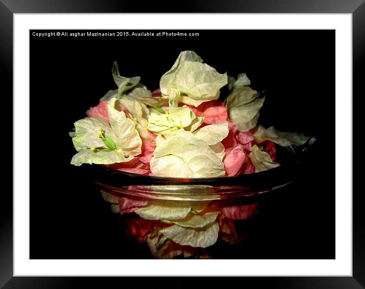  Flower bowl , Framed Mounted Print by Ali asghar Mazinanian