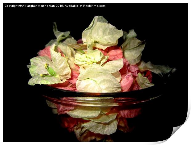  Flower bowl , Print by Ali asghar Mazinanian