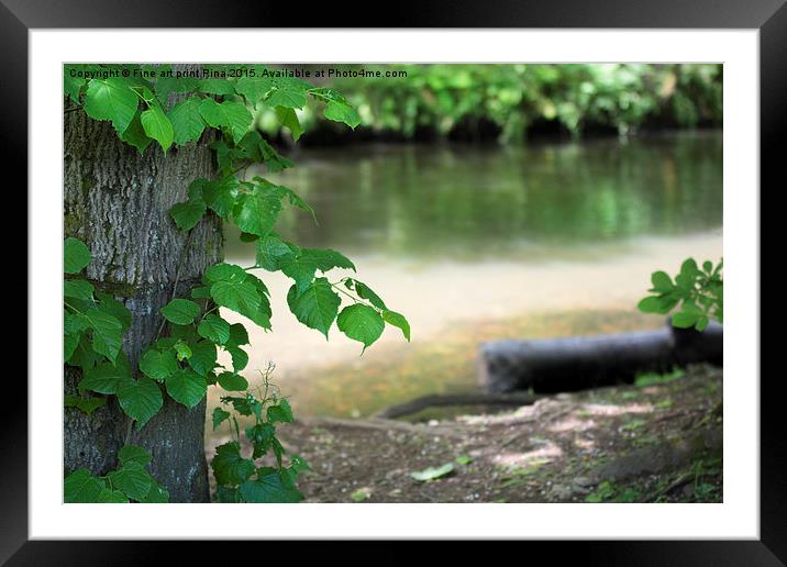  The river bed Framed Mounted Print by Fine art by Rina
