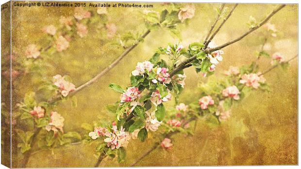 Golden Arch of Apple Blossom Canvas Print by LIZ Alderdice