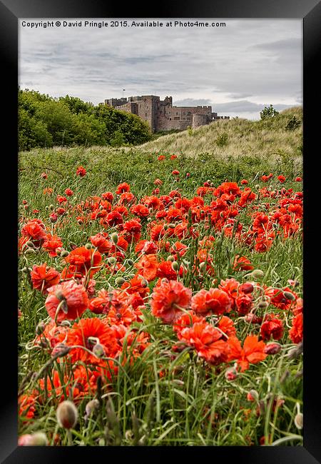 Poppies Framed Print by David Pringle