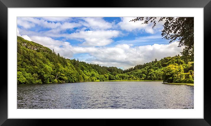 Aros Park Tobermory Framed Mounted Print by Naylor's Photography