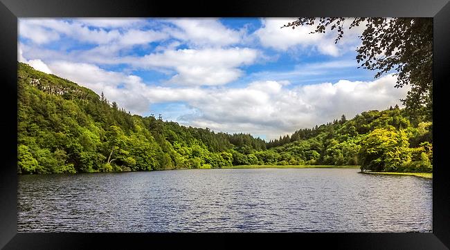 Aros Park Tobermory Framed Print by Naylor's Photography