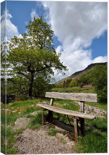 Buttermere Seat Canvas Print by Gary Kenyon
