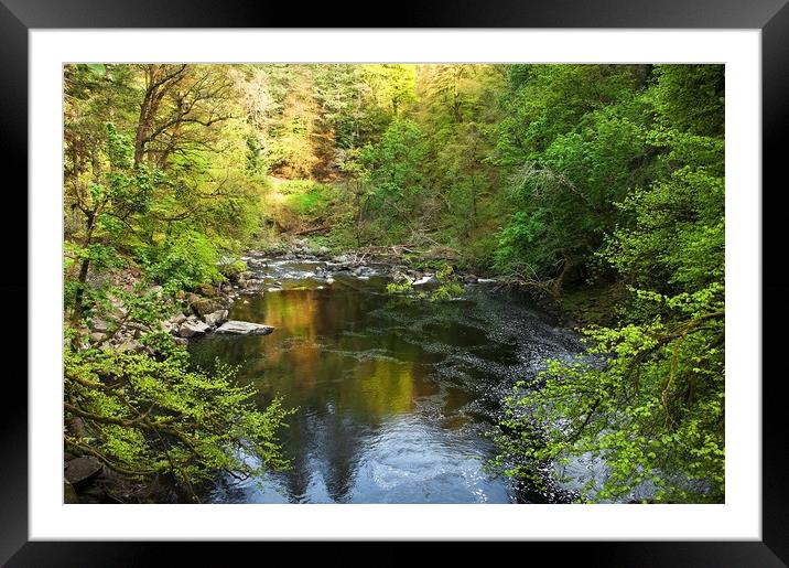  Forest River Framed Mounted Print by Svetlana Sewell