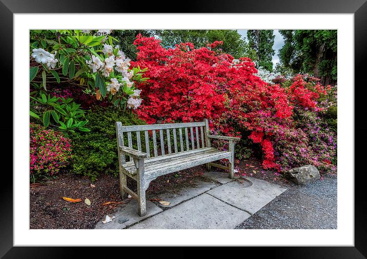 Spring Park Bench Framed Mounted Print by Adrian Evans