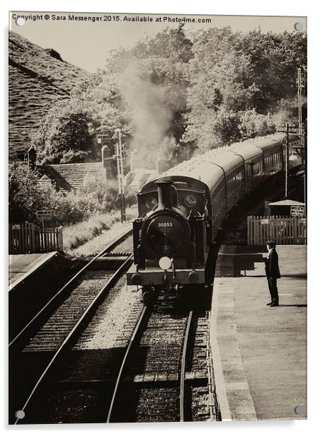  Swanage railway in black and white  Acrylic by Sara Messenger