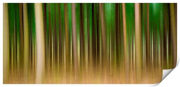 Abstract Forest Print by Svetlana Sewell