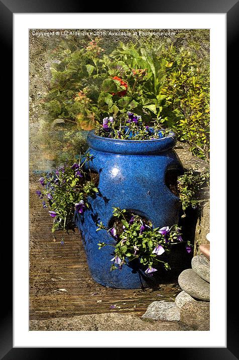 The Enchanting Blue Strawberry Pot Framed Mounted Print by LIZ Alderdice