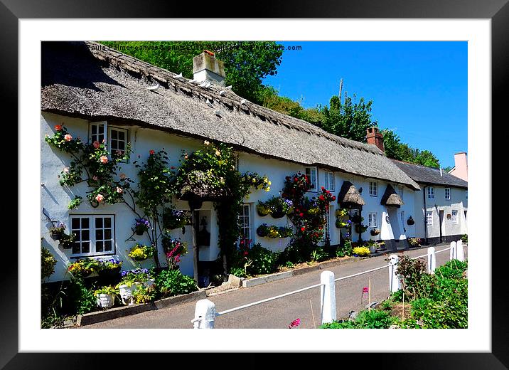  Picturesque thatched cottages Framed Mounted Print by Paula Palmer canvas